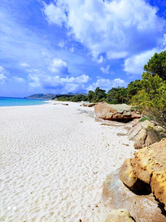 Oleandri Calaverde Sardegna Iun P1641 Pula Buitenkant foto