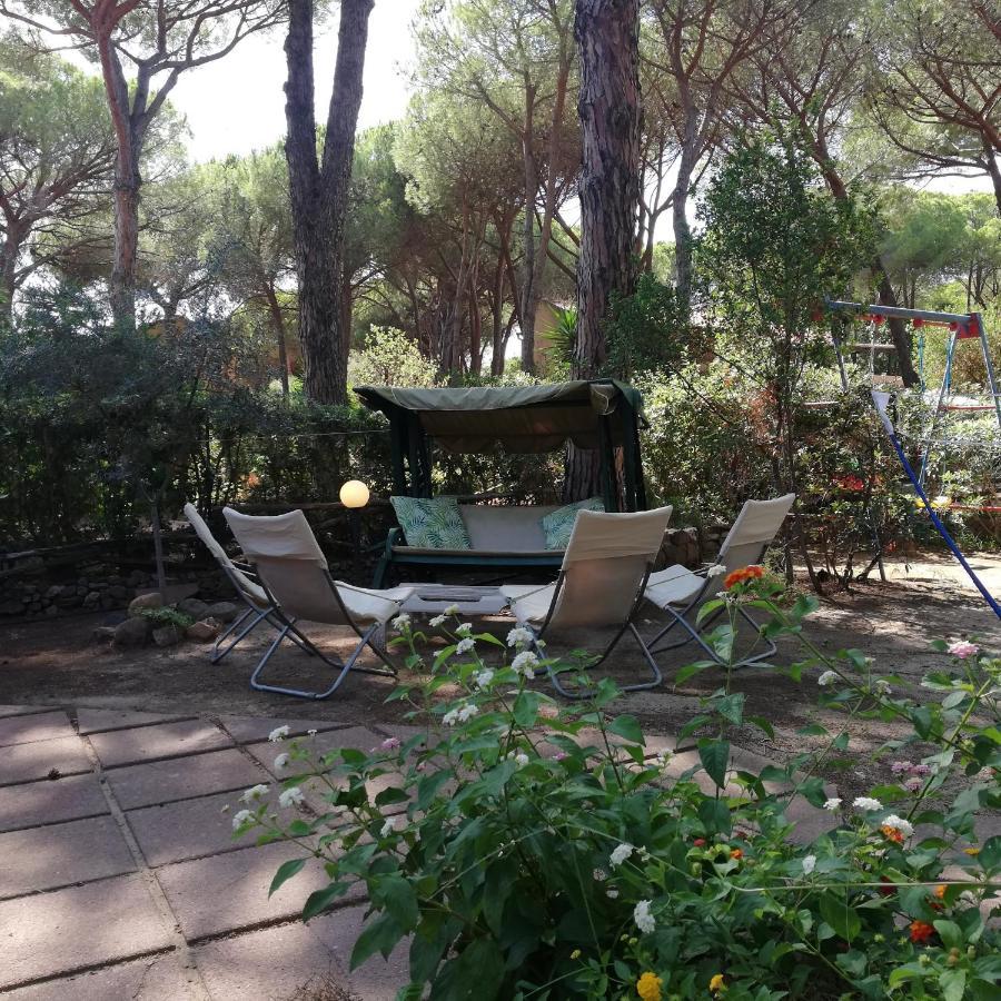 Oleandri Calaverde Sardegna Iun P1641 Pula Buitenkant foto