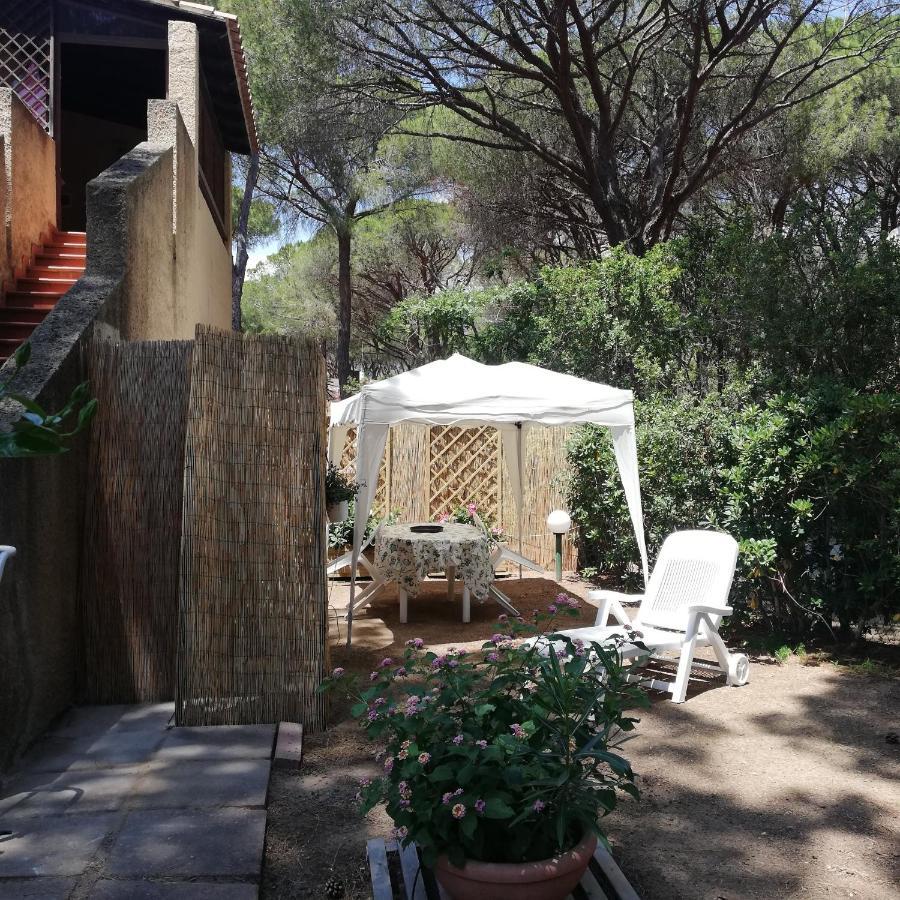 Oleandri Calaverde Sardegna Iun P1641 Pula Buitenkant foto